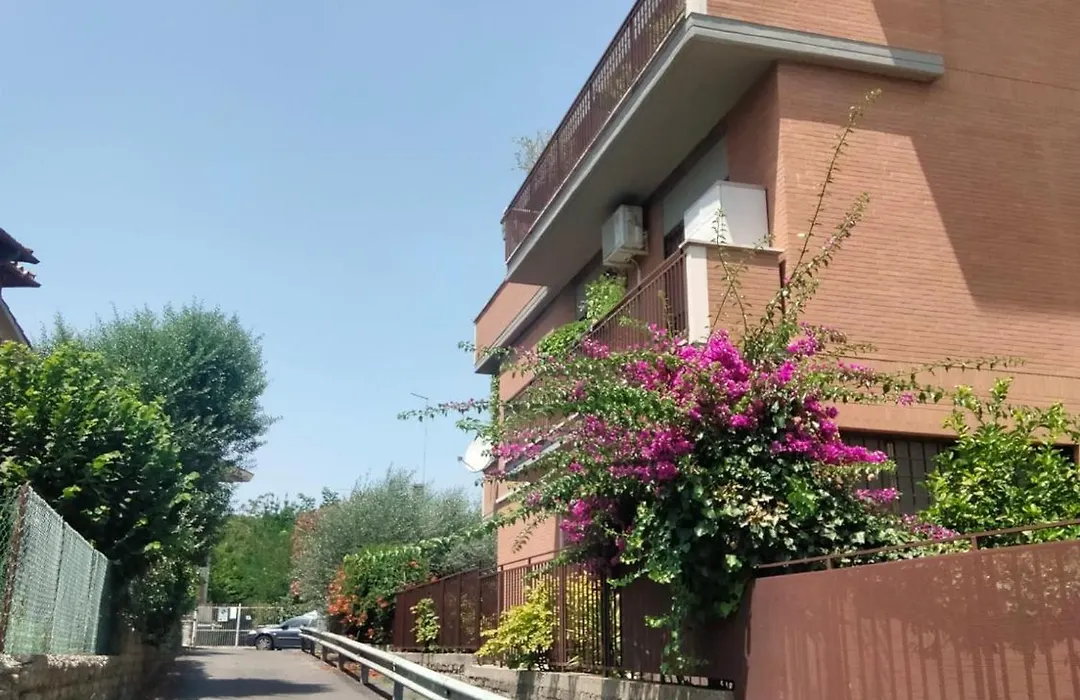 R&D Golden House-1